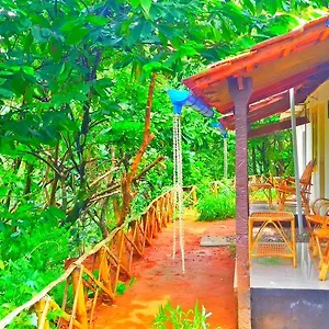 https://rock-inn-munnar.hotels-munnar.com